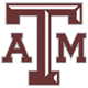 texasam.gif