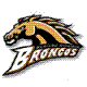 westernmichigan